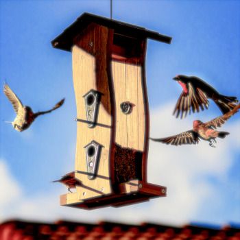 Futterhaus für Vögel zum aufhängen