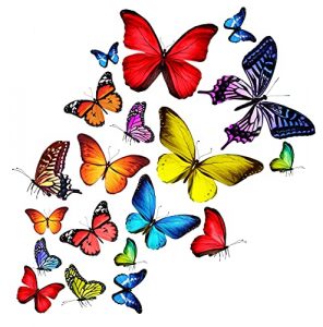 Art Applique Schmetterlinge Aufkleber für Auto & Fahrrad - Selbstklebende Dekoration
