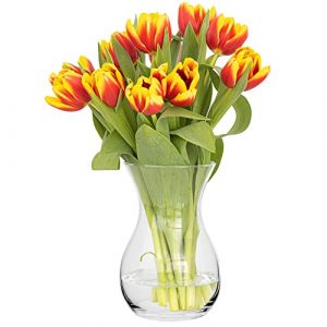 TREND FOR HOME Blumenvase Vase Glas